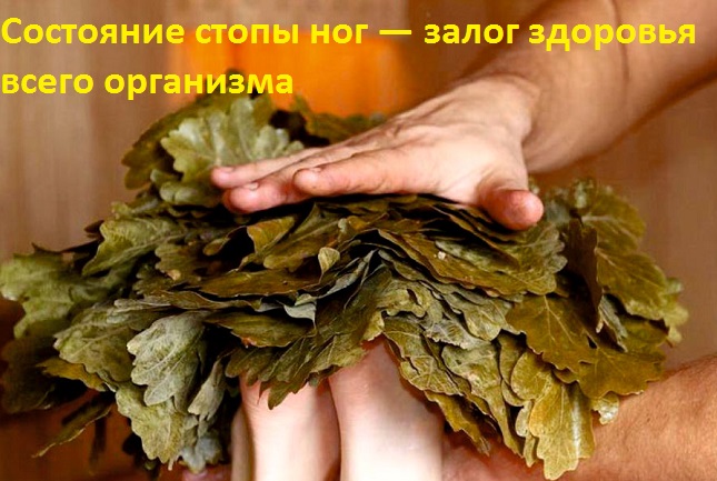 веник в бане - здоровье в теле