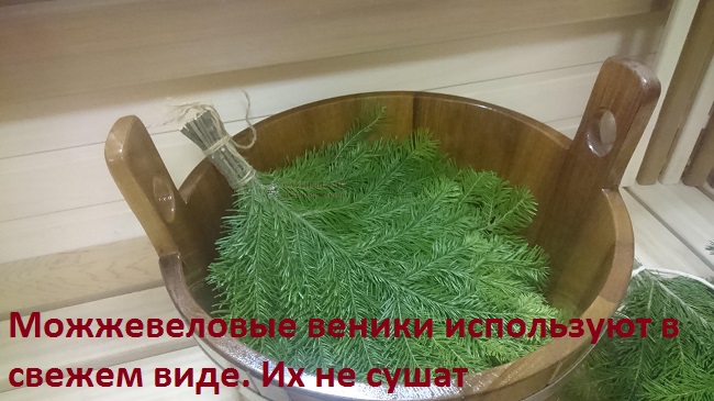можжевельник - банный веник