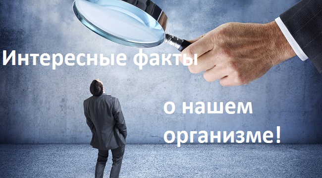 интересные факты