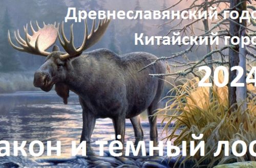 Новый год 2024